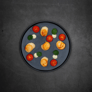 St jacobsschelpen coquilles