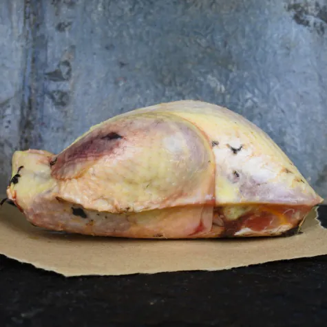 Wilde fazant hen