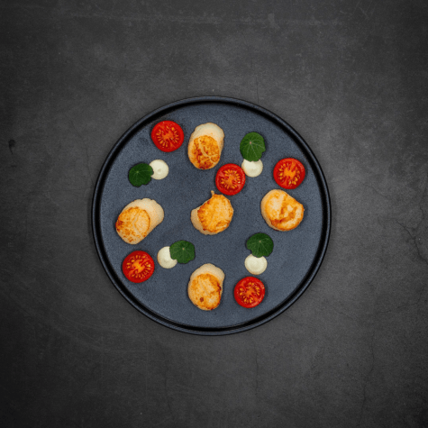 St jacobsschelpen coquilles