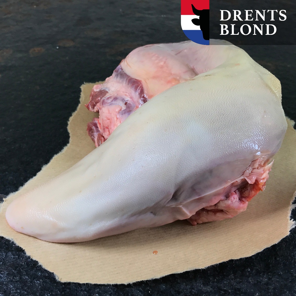 Rundertong Blonde Aquitaine