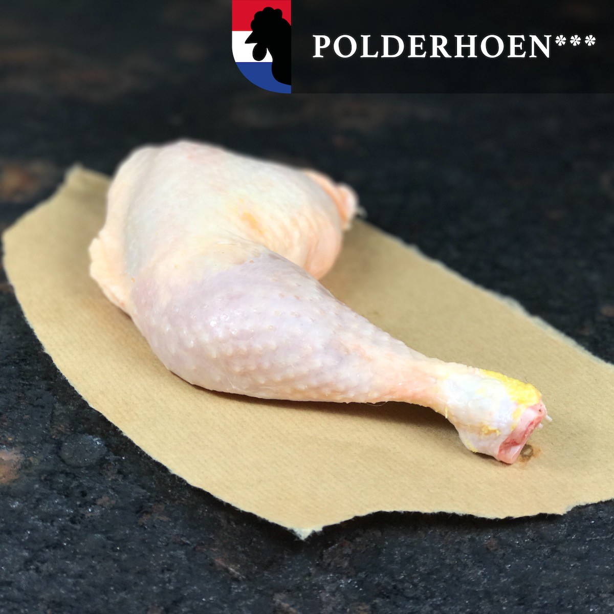 Kippenbout Polderhoen