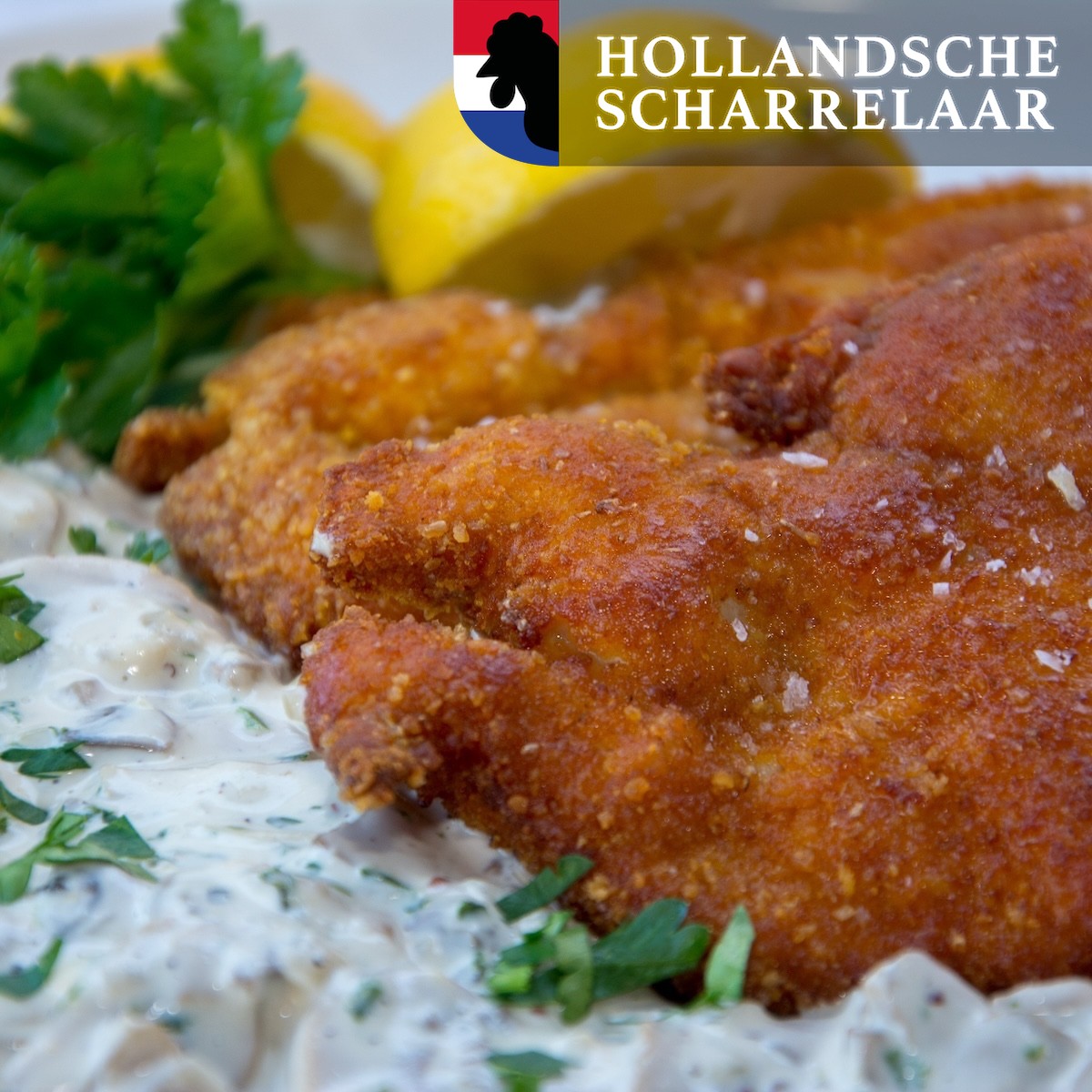 Kipschnitzel Scharrel