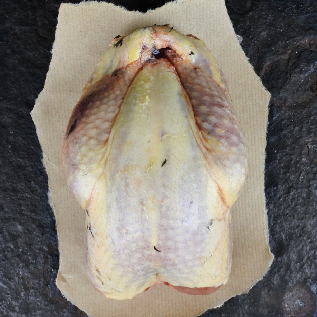 Wilde fazant hen
