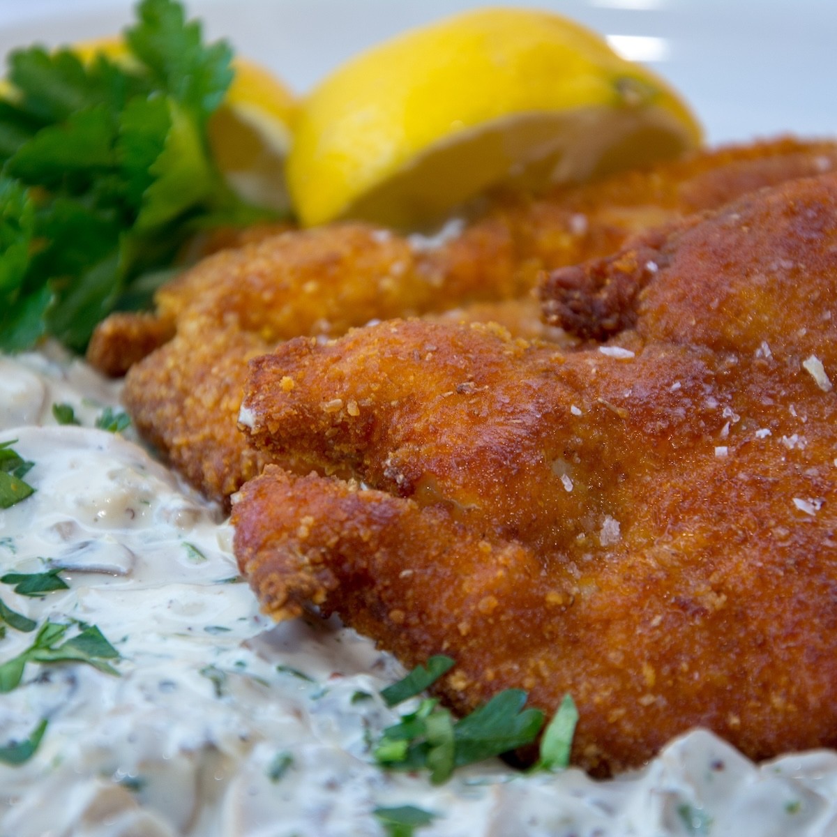 Kipschnitzel Scharrel