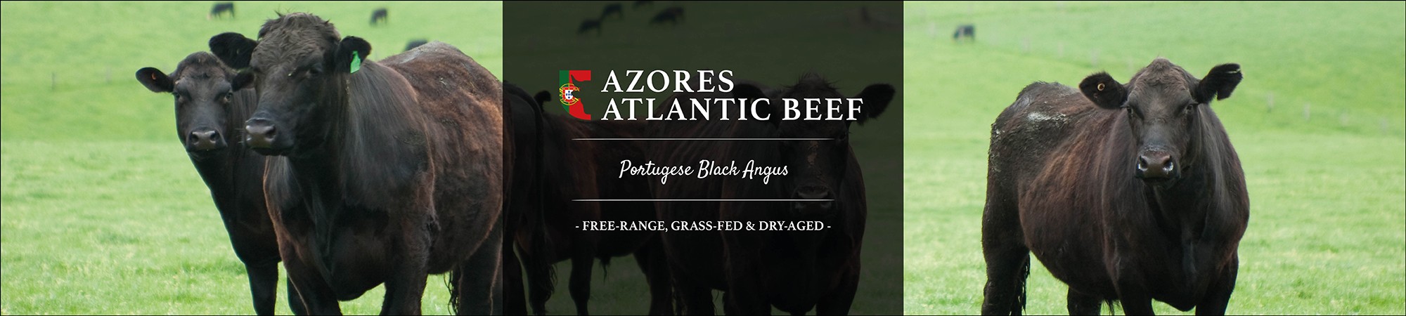 Azores Atlantic Beef POR