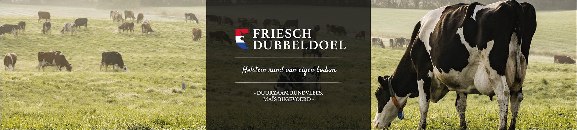 Friesch Dubbeldoel NLD