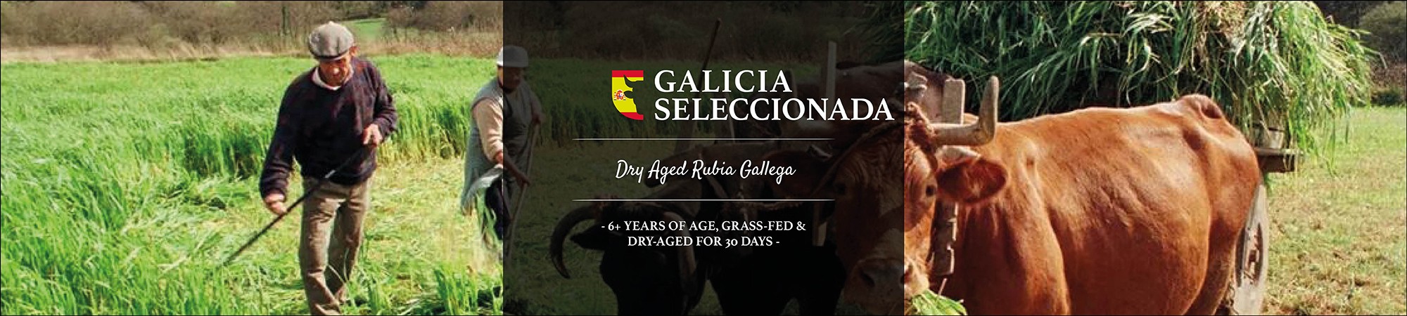 Galicia Seleccionada ESP 
