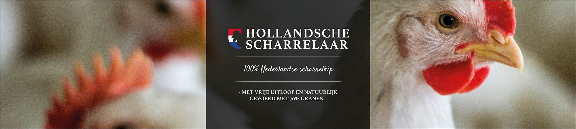 Hollandsche Scharrelaar NLD