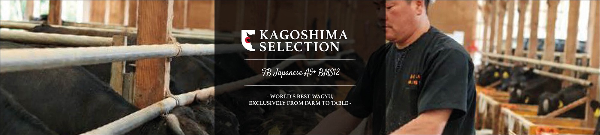 Kagoshima Selection JAP