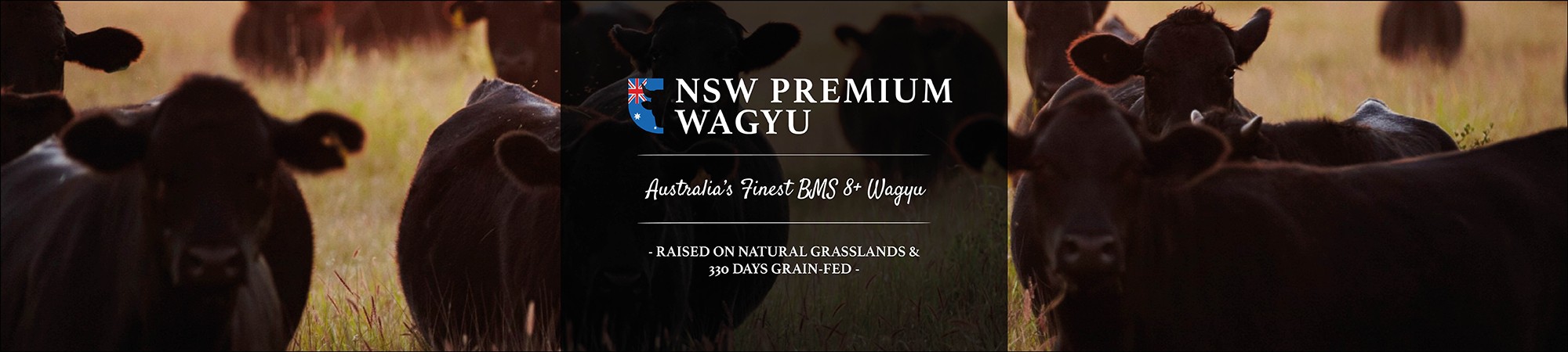 NSW Premium Wagyu AUS