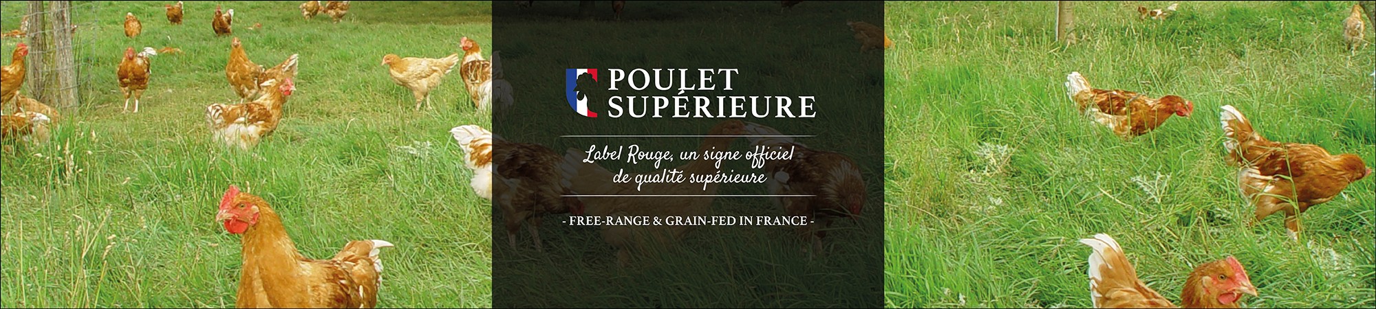 Poulet Superieure FRA