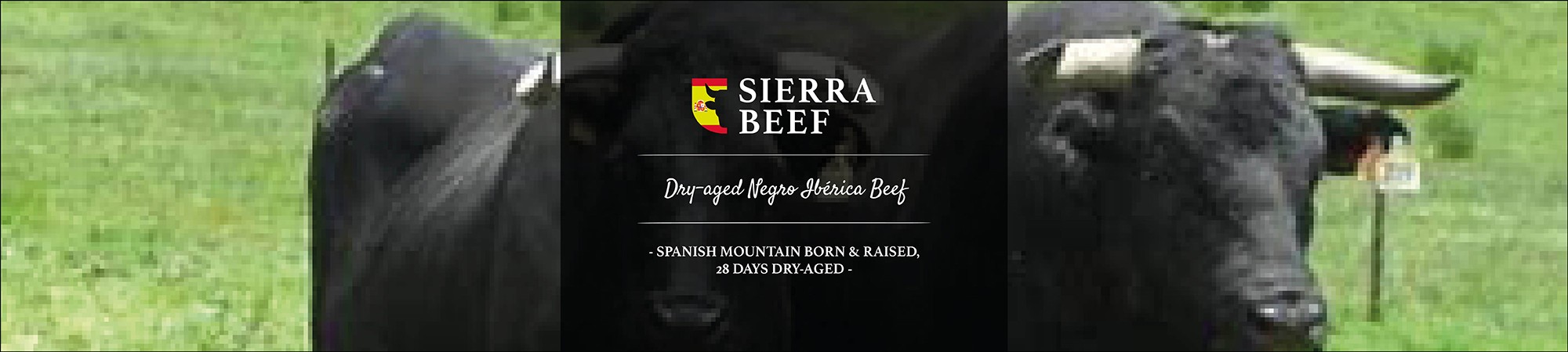 Sierra Beef ESP