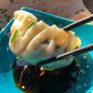 Gyoza van pulled beef van de BBQ